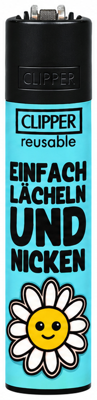 Dumm 3