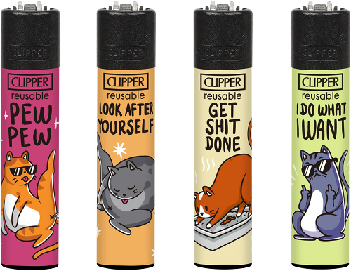 Clipper Katzen 3 — offizielles Produktfoto